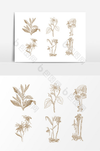 手绘线描植物设计素材图片
