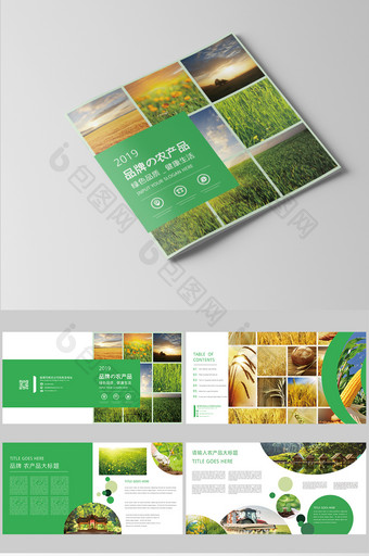 创意方格创意品牌农产品画册图片