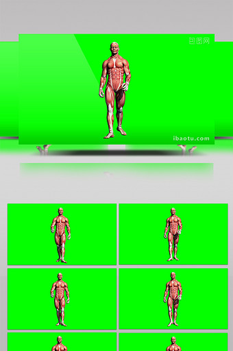 生物人体肌肉男性行走企业宣传合成视频元素图片