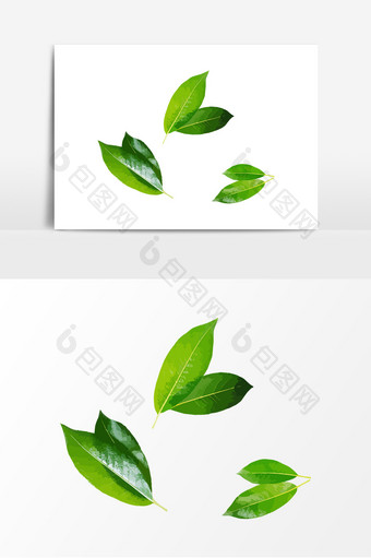 绿色树叶形象元素图片