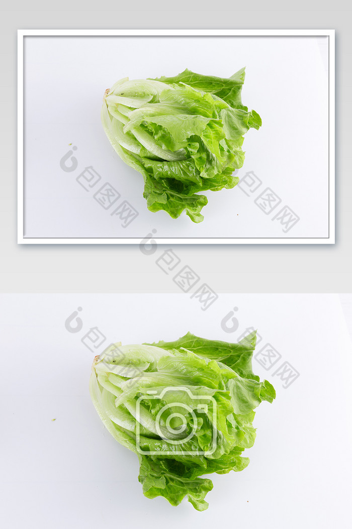 新鲜生菜一颗蔬菜白底特写图片图片