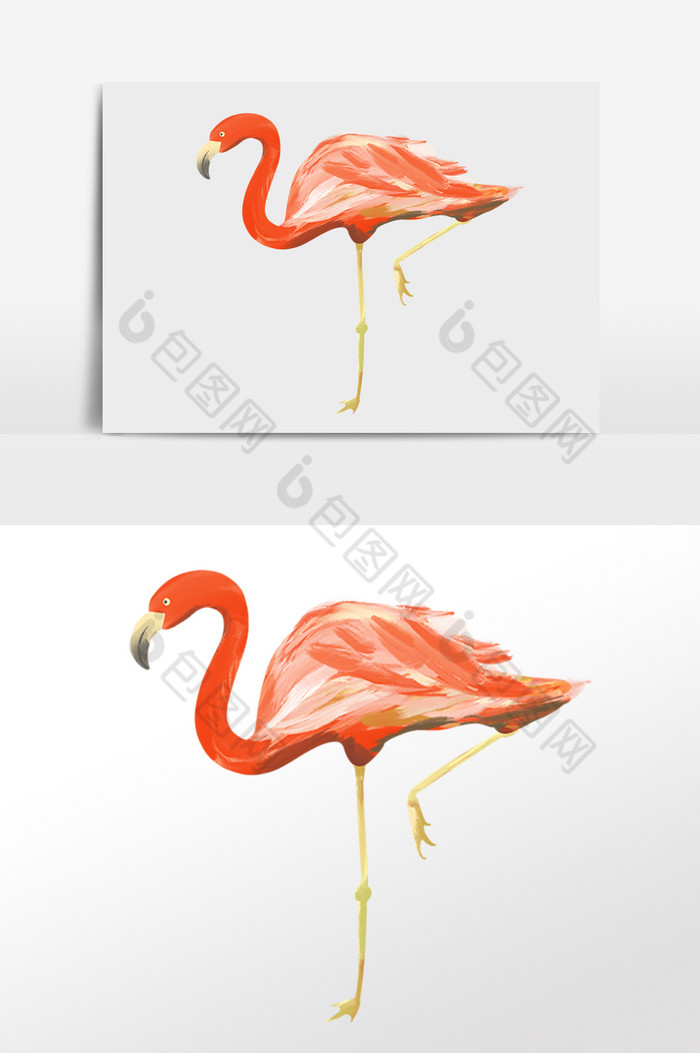 非洲羽毛动物火烈鸟抬腿插画图片图片