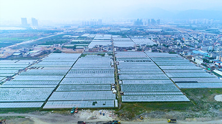 航拍大棚蔬菜种植基地4K视频