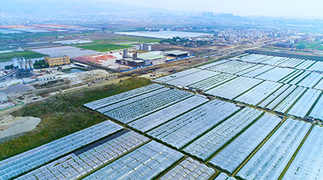 航拍大棚蔬菜种植基地4K视频