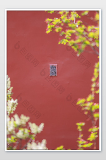 春日里的紫禁城红墙图片