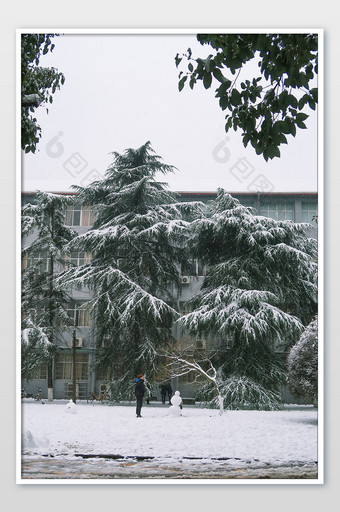 雪天松树雪人雪景冬天摄影图图片