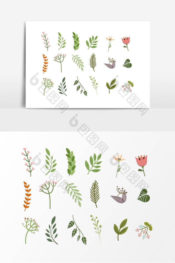 植物图片