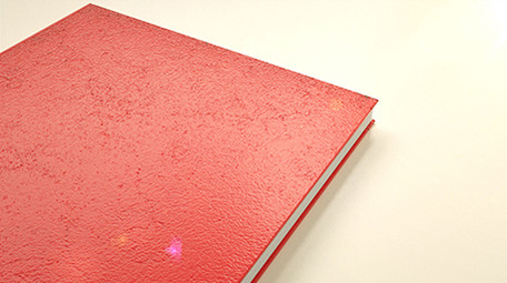 红皮书翻书效果党政宣传图文介绍AE模板