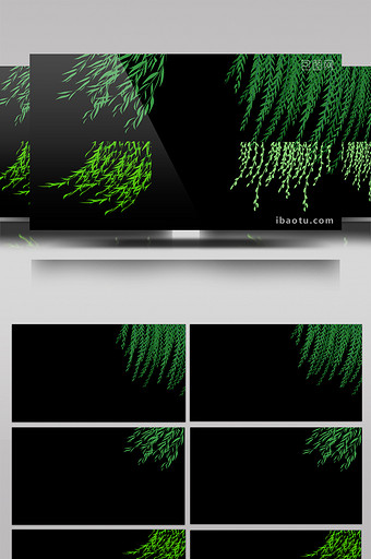 原创柳叶柳条随风飘动带透明通道视频素材图片