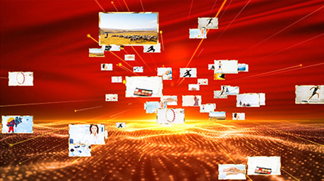 金色党政多照片展示