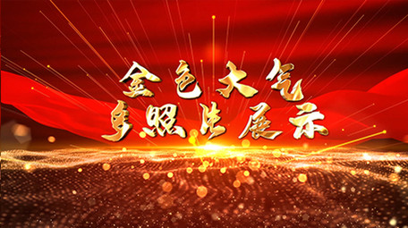 金色党政多照片展示