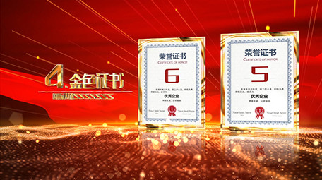 大气党政金色荣誉证书