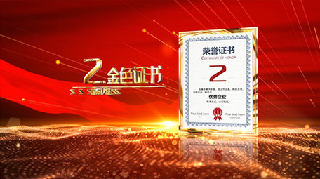 大气党政金色荣誉证书