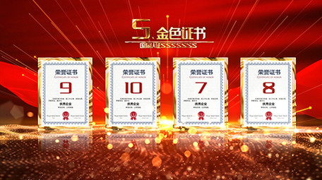 大气党政金色荣誉证书