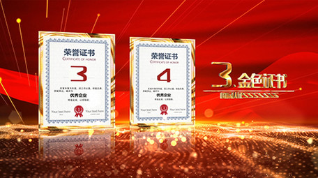 大气党政金色荣誉证书