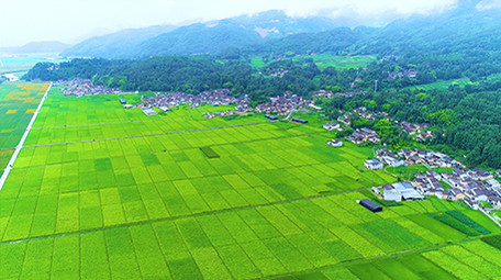 航拍山村田园风光4K视频