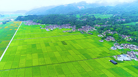 航拍山村田园风光4K视频