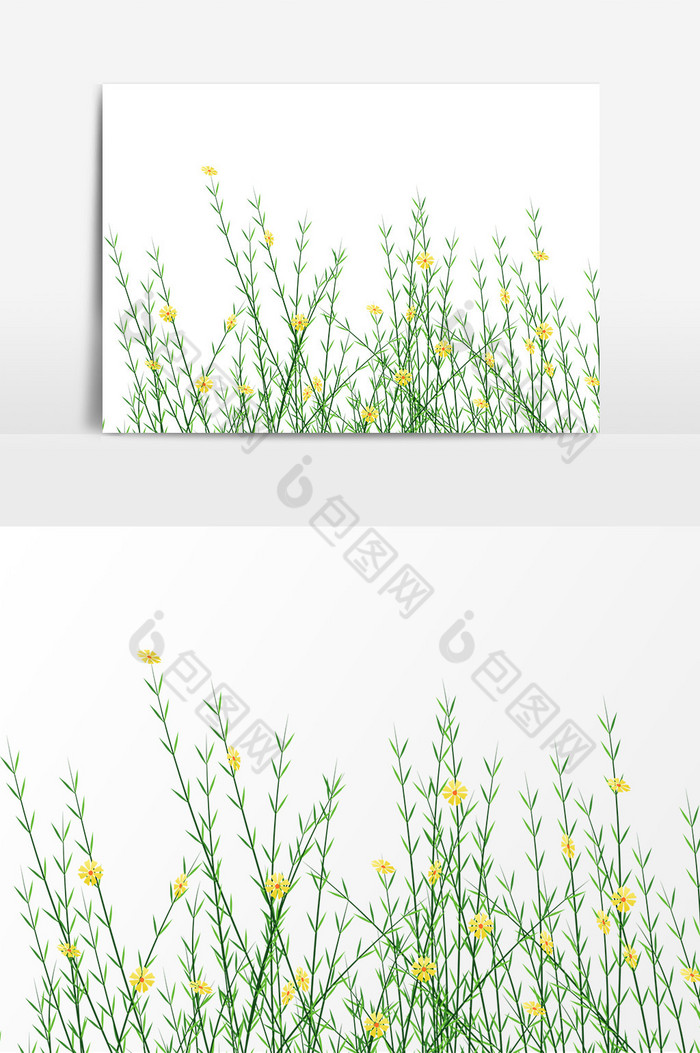 植物装饰花朵图片图片