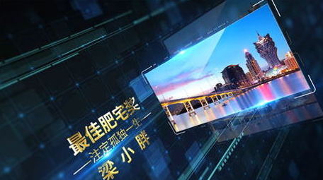 大金字科技信息数据图文卡片式展示AE模板