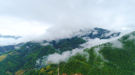 航拍大山云海4K视频