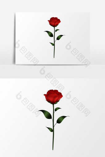 520表白季可爱玫瑰花元素免扣一枝玫瑰花图片