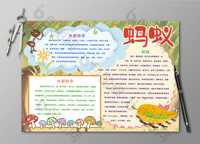 蚂蚁动物手抄报黑白线描小报
