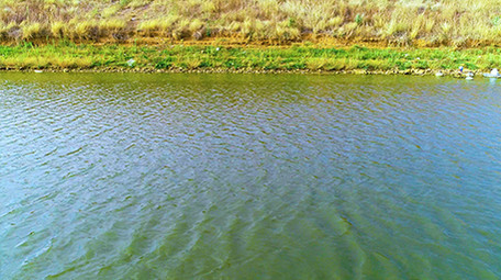 航拍水波森林4K超清视频