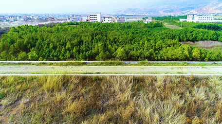 航拍水波森林4K超清视频