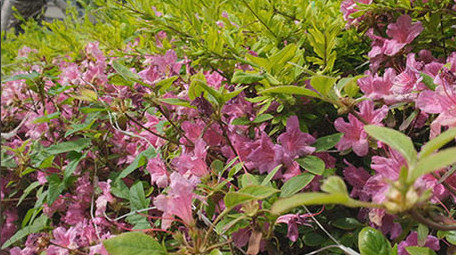 现代都市建筑商务旅游高楼大厦快节奏