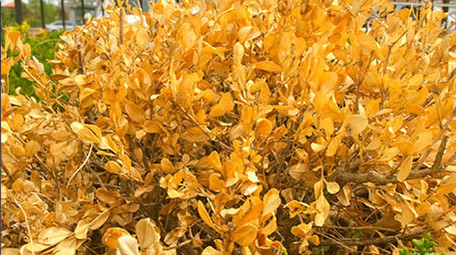 现代都市建筑商务旅游高楼大厦快节奏