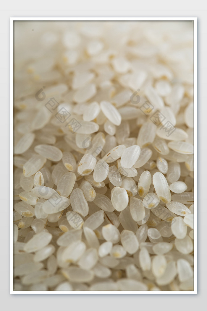 高清传统美食粮食东北胚芽大米摄影图片图片
