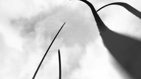 中国风水墨片头AE模板