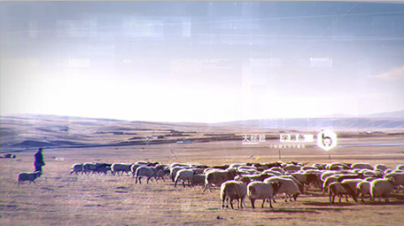 大气透视空间转场照片相册图文片头AE模板