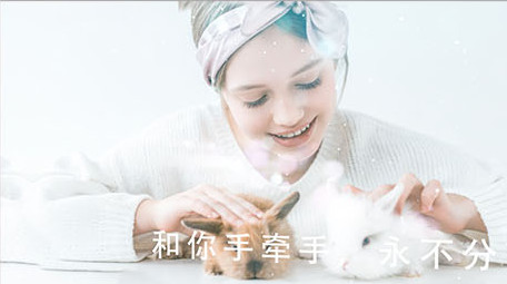 高端绝美蓝色粒子婚礼相册展示AE模板