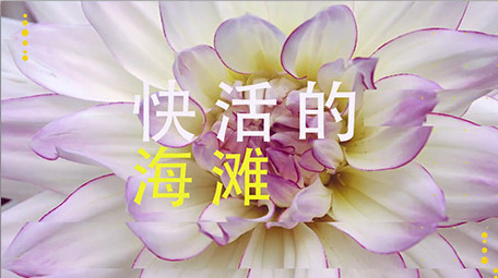 活力夏日主题快闪动画图文片头AE模板