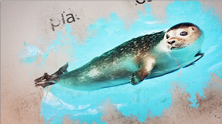 水墨飞溅晕染照片影集复古图文动画AE模板