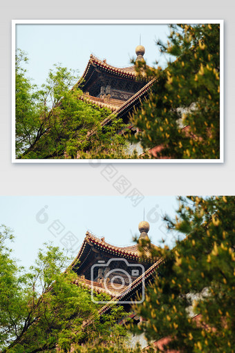 北京夏日故宫高清俯视建筑高清摄影图图片