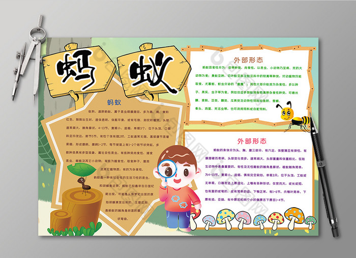 卡通蚂蚁动物手抄报黑白线描小报