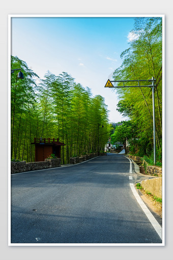 美丽乡村建设竹林道路摄影图图片