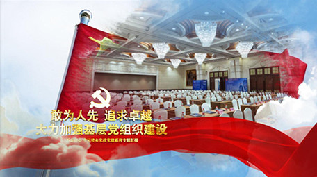 大气党政党建宣传政府工作图文AE模板