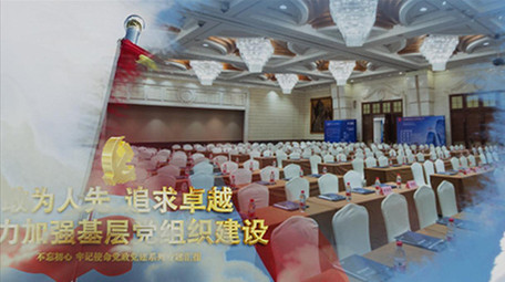 大气党政党建宣传政府工作图文AE模板