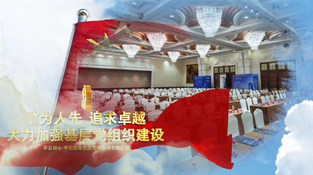 大气党政党建宣传政府工作图文AE模板