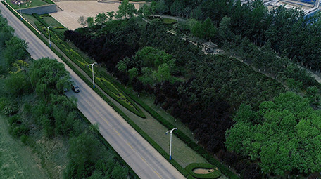 超美的航拍防护林公路视频