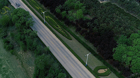 超美的航拍防护林公路视频