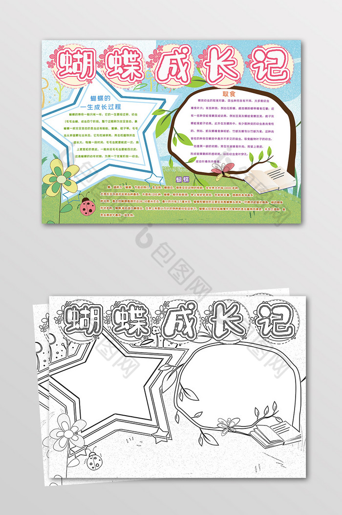 蝴蝶成长记昆虫观察黑白线描小报图片图片