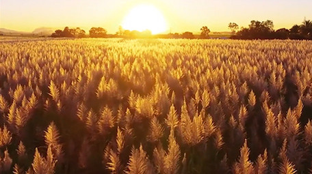 抖音网红爆款快闪图文模板