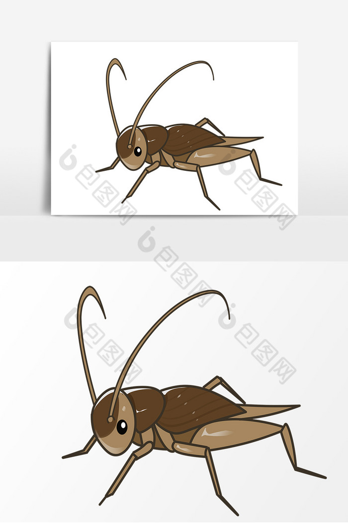 昆虫蚂蚱图片图片