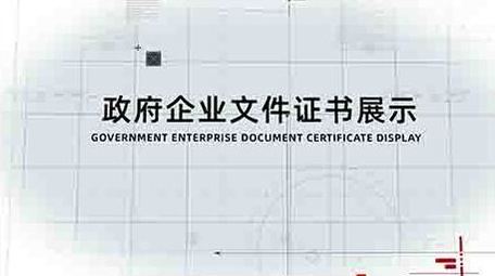 政府企业证书文件展示ae模板