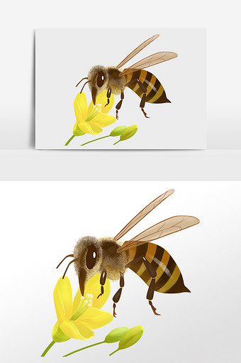 手绘卡通昆虫虫子蜜蜂插画图片下载