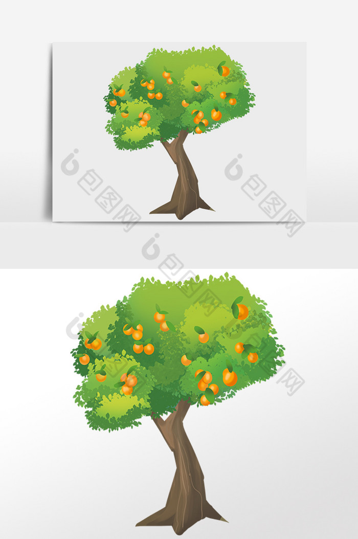 植物橘子树果树插画图片图片
